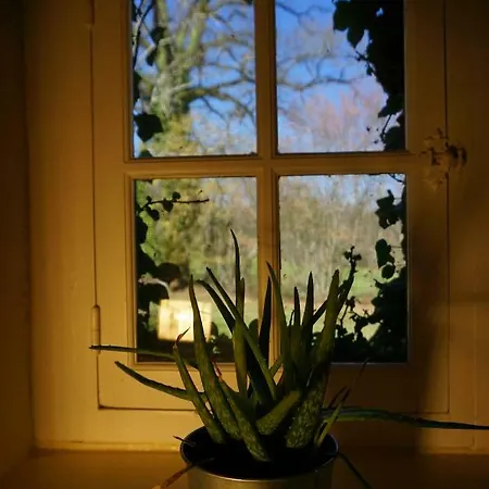 Bed & Breakfast Domaine Du Mas Coutant *